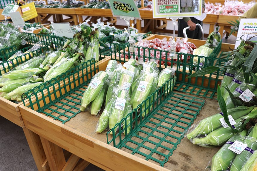 新鮮野菜&ご当地食材を買うならファーマーズマーケットへGO！｜ハマラボ[ハママツ研究所]