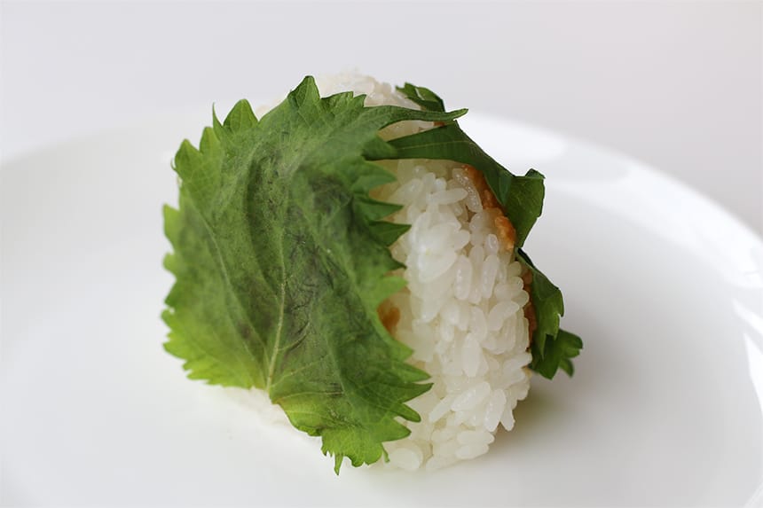 美味しいお米を食べるなら！お米&おむすびの専門店 はせがわ｜ハマラボ[ハママツ研究所]