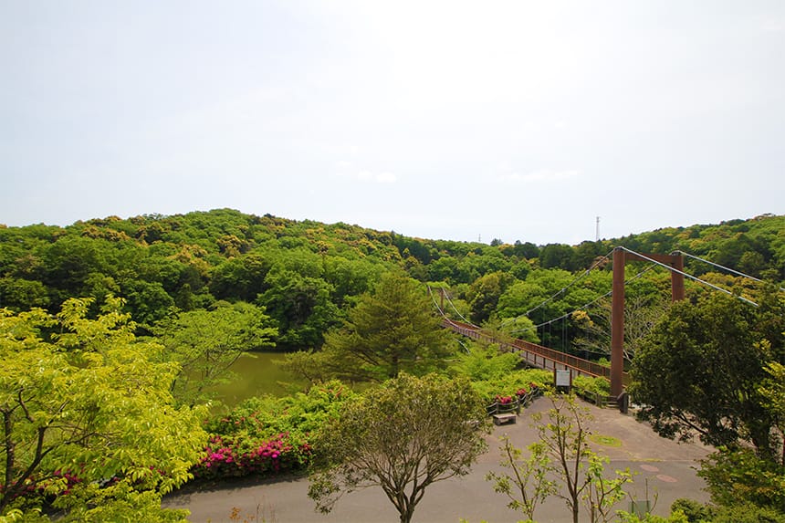 お散歩、釣り、遊具、ゲレンデで芝滑り…等 大型公園 都田総合公園で遊ぼう