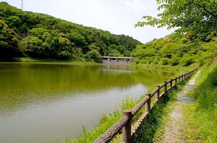 お散歩、釣り、遊具、ゲレンデで芝滑り…等 大型公園 都田総合公園で遊ぼう