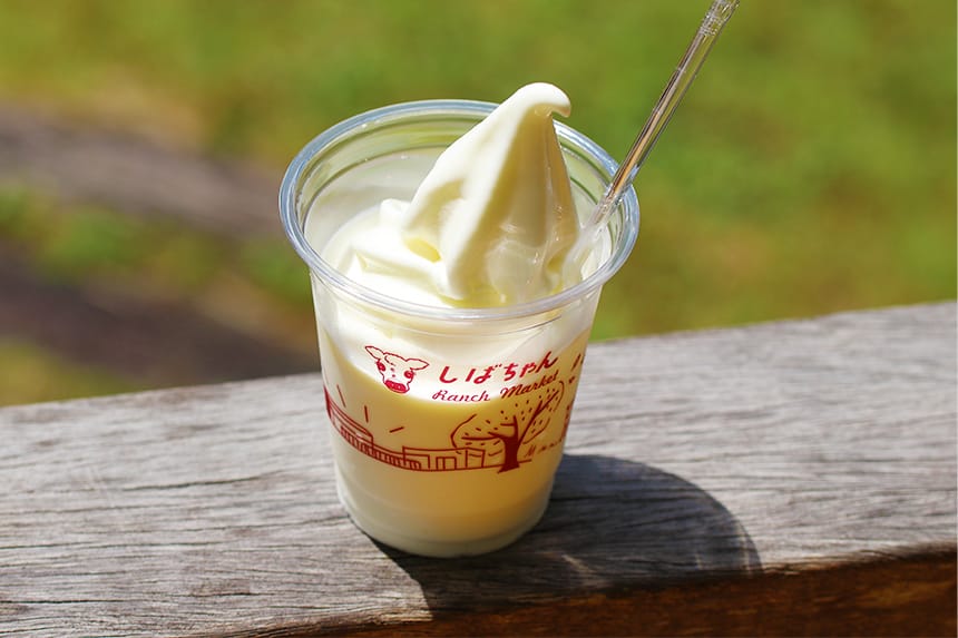 掛川の「しばちゃんランチマーケット」でジャージー牛乳ソフトクリームを満喫！｜ハマラボ[ハママツ研究所]